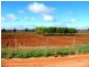 Lot 116 Government Road, Renmark West SA 5341