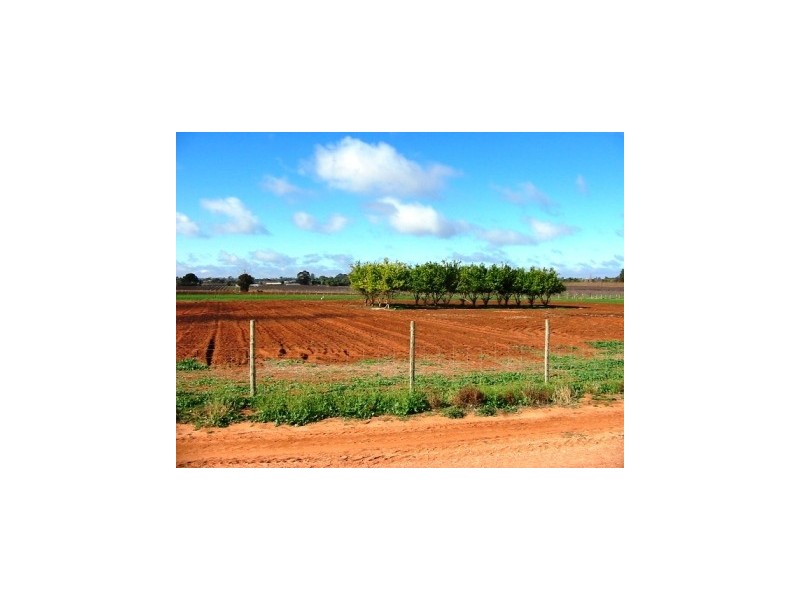 Lot 116 Government Road, Renmark West SA 5341