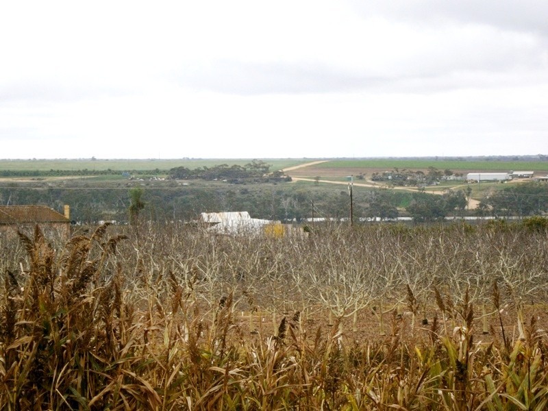Sect 193 and 928 Virgo Road, Waikerie SA 5330