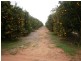 Sect 193 and 928 Virgo Road, Waikerie SA 5330