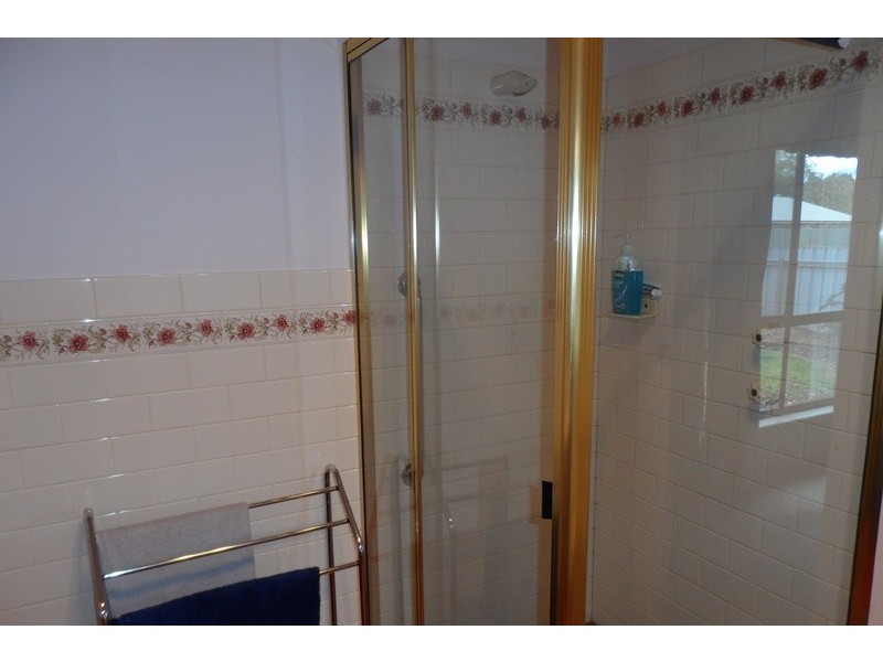 109 Pyap Street, Renmark SA 5341