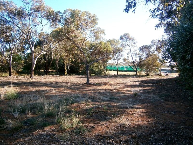 152 Cameron Street, Sunlands SA 5322