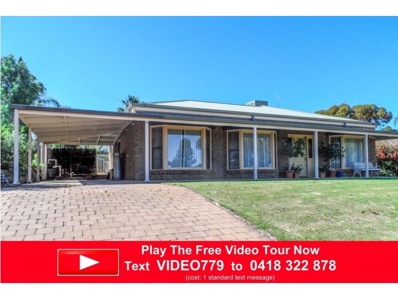 19 Dorothy Avenue, Paringa SA 5340