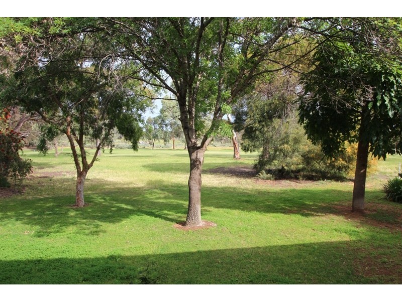 11 Fairway Avenue, Barmera SA 5345