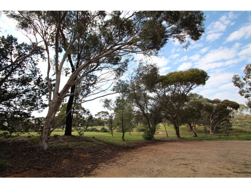 11 Fairway Avenue, Barmera SA 5345