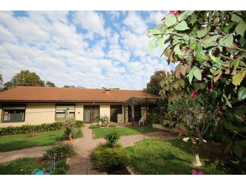 11 Fairway Avenue, Barmera SA 5345