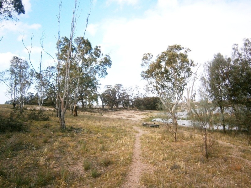 124 Roonka Road, Blanchetown SA 5357