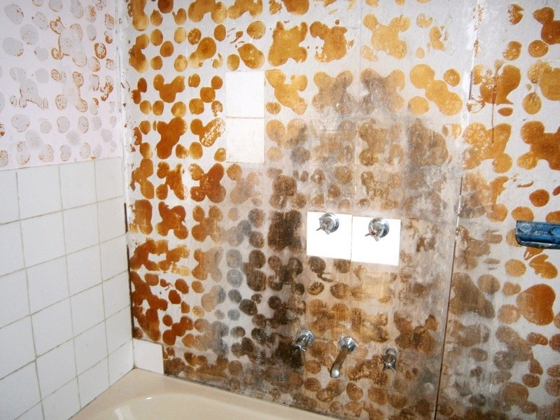 124 Roonka Road, Blanchetown SA 5357