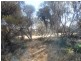Section 24 Conservation Road, Pinnaroo SA 5304