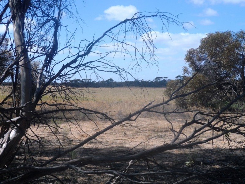 Section 24 Conservation Road, Pinnaroo SA 5304