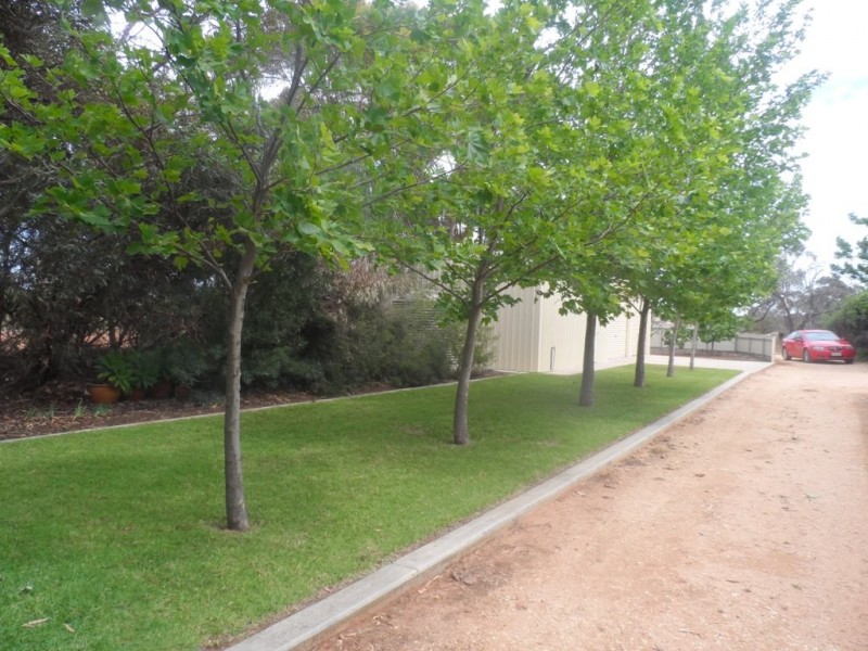 26 MILICH ROAD, Loxton SA 5333