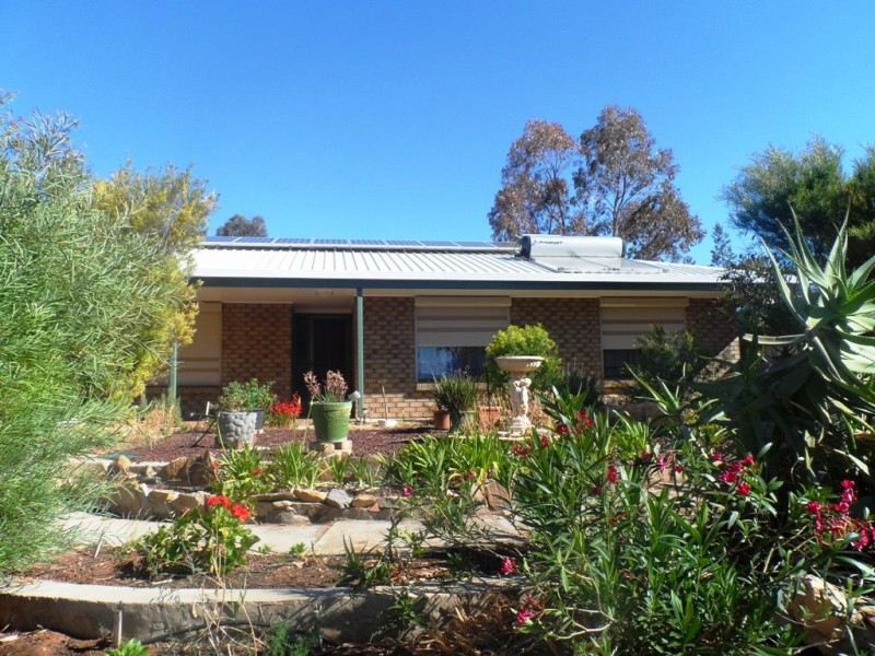 10 Kaesler Street, Loxton SA 5333