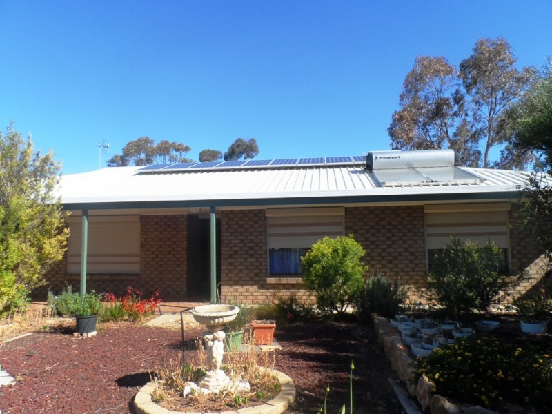 10 Kaesler Street, Loxton SA 5333