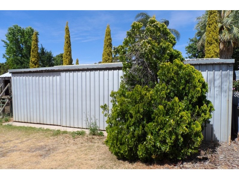 3 Barrington Street, Renmark SA 5341