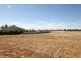 LOT 12 DRUMMOND AVE, Loxton SA 5333