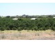 Sect 814 Middleton Road, Loxton SA 5333