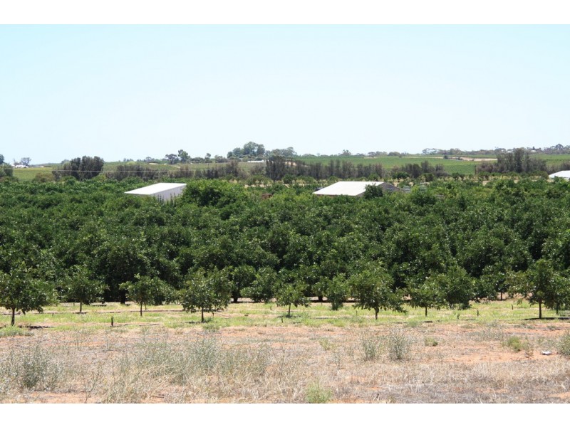 Sect 814 Middleton Road, Loxton SA 5333