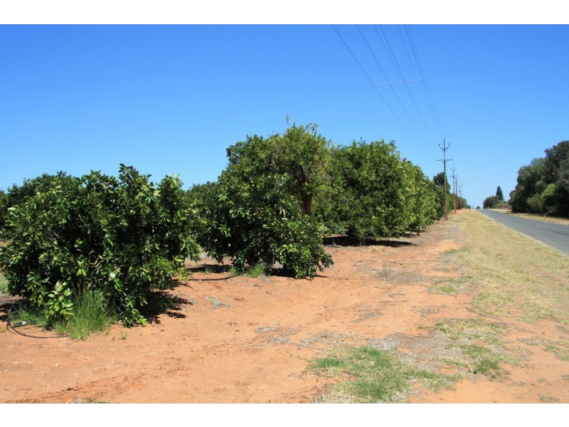 Sect 814 Middleton Road, Loxton SA 5333