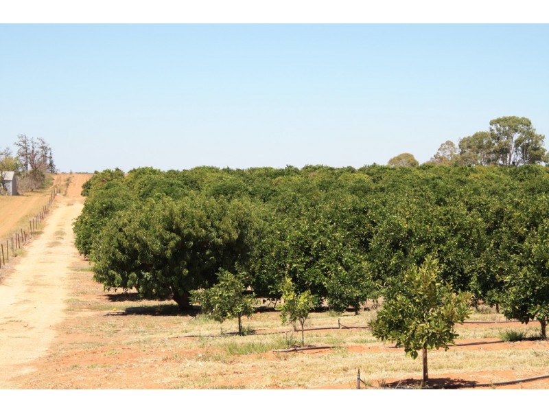 Sect 814 Middleton Road, Loxton SA 5333