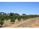 Sect 814 Middleton Road, Loxton SA 5333