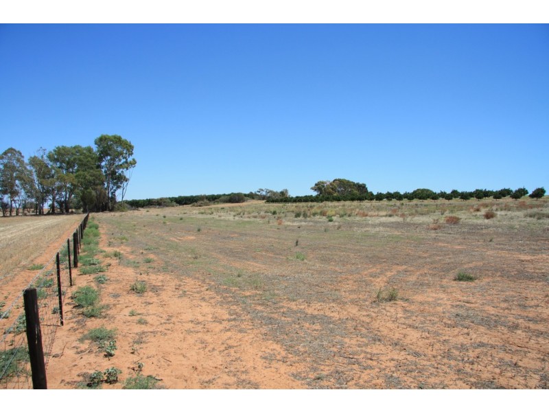 Sect 814 Middleton Road, Loxton SA 5333