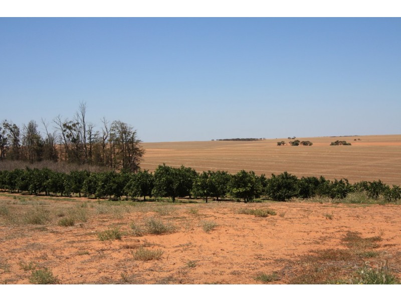 Sect 814 Middleton Road, Loxton SA 5333