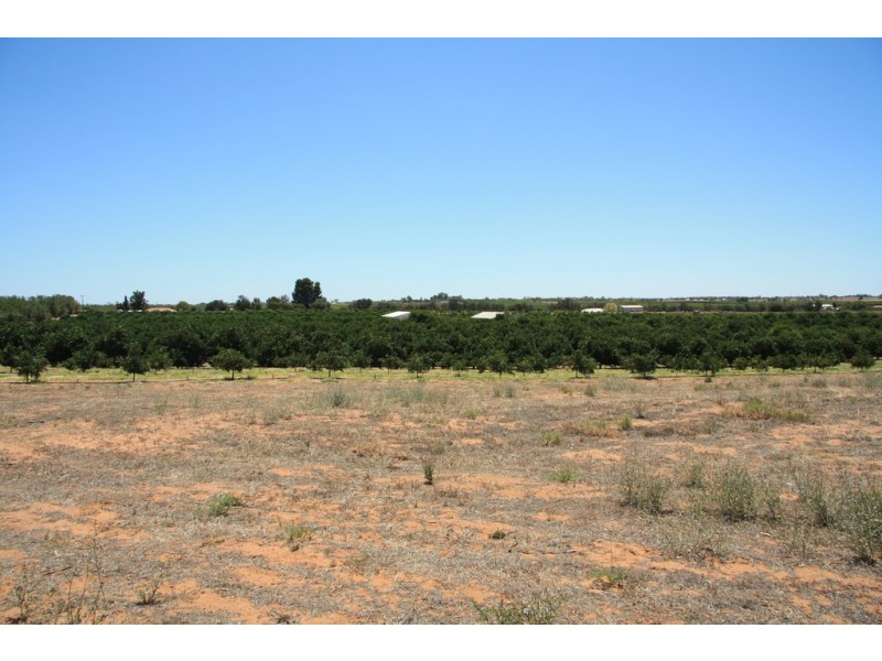 Sect 814 Middleton Road, Loxton SA 5333