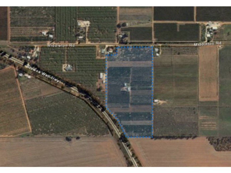 Sect 814 Middleton Road, Loxton SA 5333