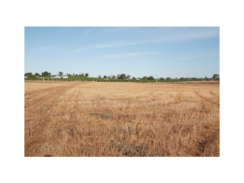 1106 Bookpurnong Road, Loxton SA 5333