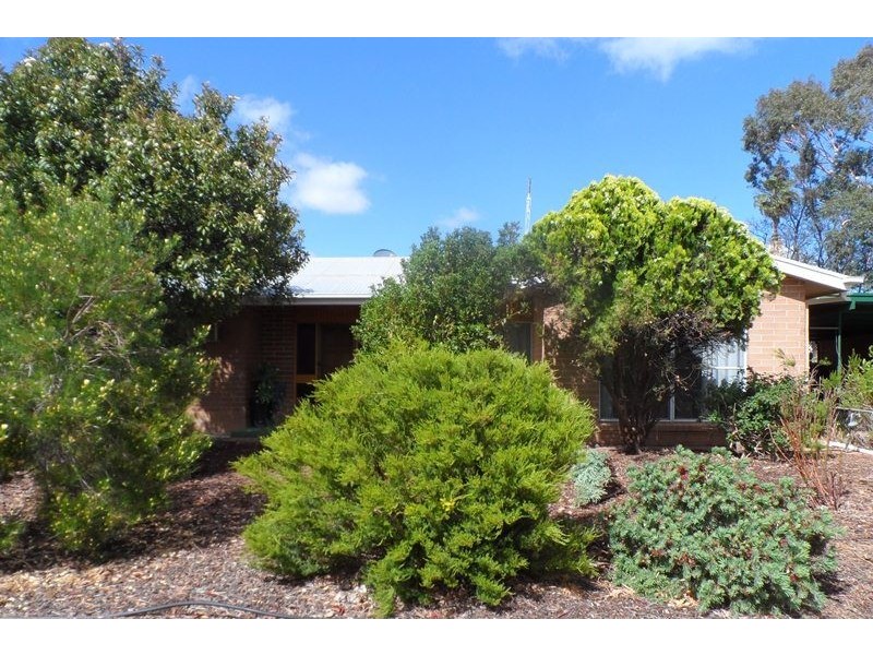 17 Myall Street, Renmark SA 5341