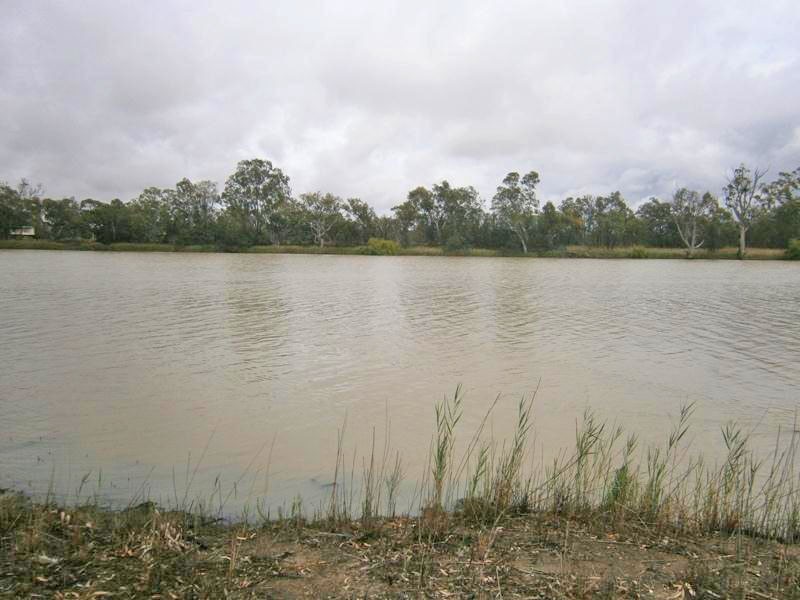 2087 Murbko Road, Murbko via Morgan, Morgan SA 5320