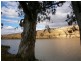121 Riverbanks Estate, Blanchetown SA 5357