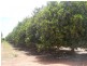 - Anderson Road, Loxton SA 5333