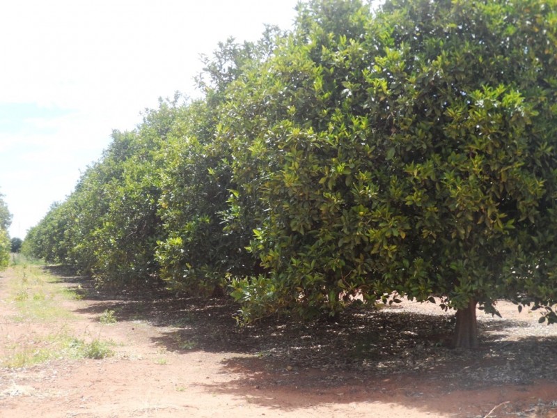 - Anderson Road, Loxton SA 5333