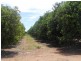 - Anderson Road, Loxton SA 5333