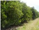 - Anderson Road, Loxton SA 5333