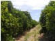 - Anderson Road, Loxton SA 5333