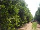 - Anderson Road, Loxton SA 5333