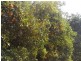 - Anderson Road, Loxton SA 5333