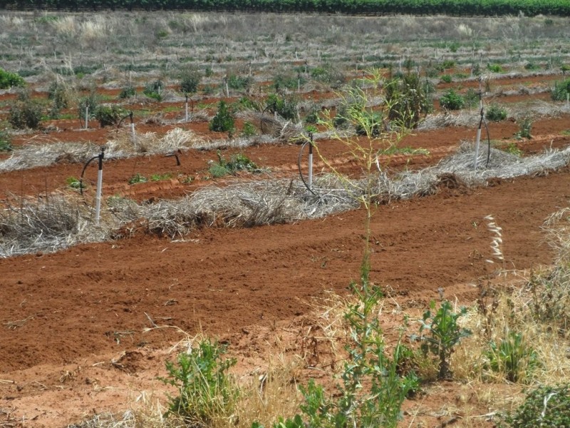 - Anderson Road, Loxton SA 5333