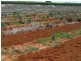 - Anderson Road, Loxton SA 5333