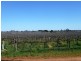 144-158 Derrick Road, Loxton SA 5333