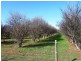 144-158 Derrick Road, Loxton SA 5333