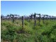 144-158 Derrick Road, Loxton SA 5333