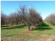 144-158 Derrick Road, Loxton SA 5333