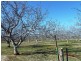 144-158 Derrick Road, Loxton SA 5333