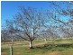 144-158 Derrick Road, Loxton SA 5333