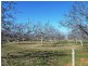 144-158 Derrick Road, Loxton SA 5333