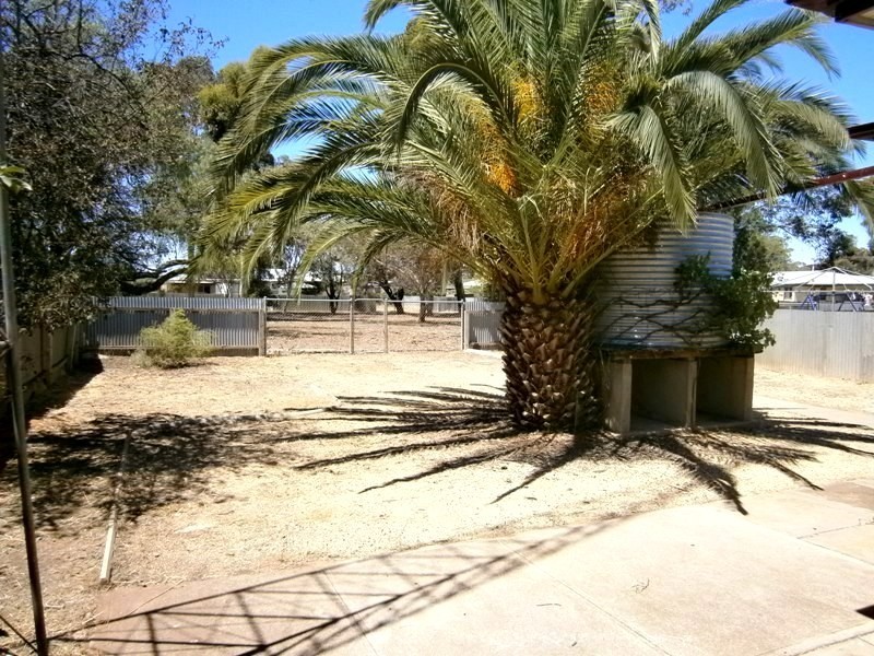 18 Jacobs Street, Waikerie SA 5330