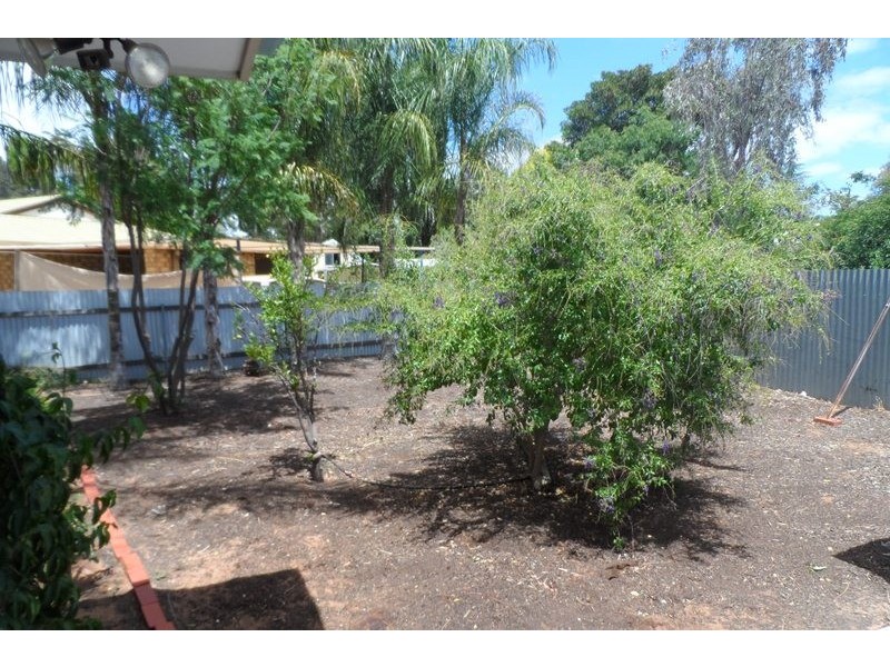 3 Waratah Court, Renmark SA 5341
